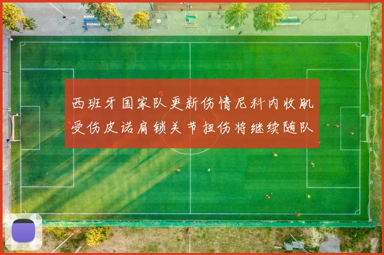 西班牙国家队更新伤情尼科内收肌受伤皮诺肩锁关节扭伤将继续随队训练